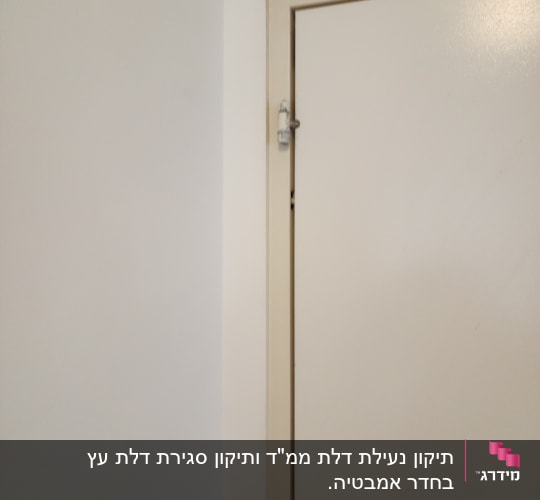 ציר